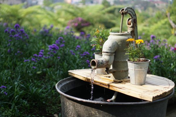 Dizajn vody v permakultúrnej záhrade